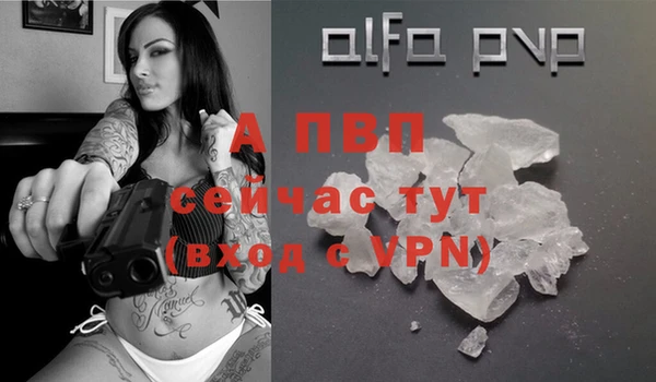 apvp Осташков