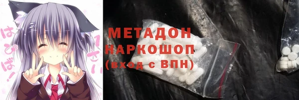 индика Снежногорск