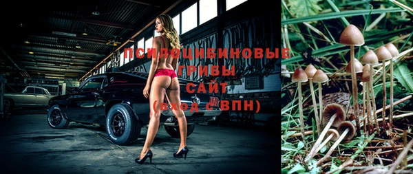 СК Осинники