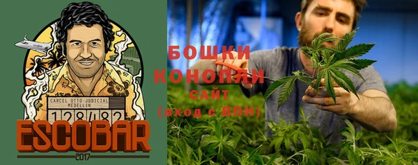 первитин Няндома