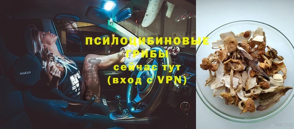 первитин Няндома