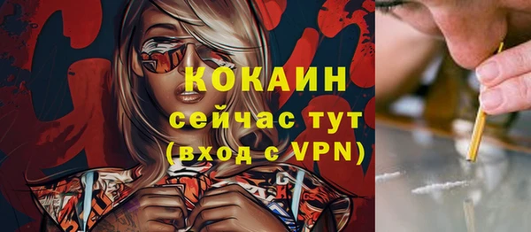 первитин Няндома