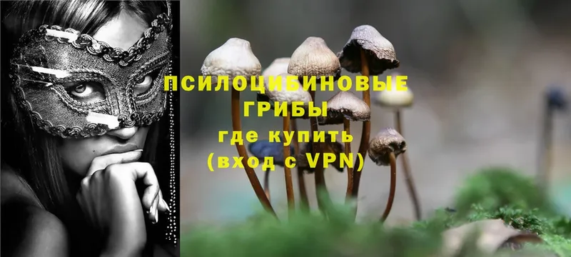 Галлюциногенные грибы Magic Shrooms  наркота  Петровск-Забайкальский 